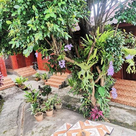 Kongkeo Guesthouse Muang Phônsavan Екстериор снимка